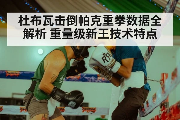 杜布瓦击倒帕克重拳数据全解析 重量级新王技术特点