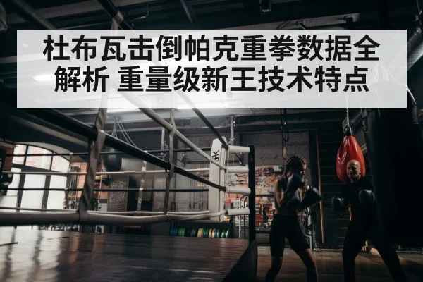 boxer training