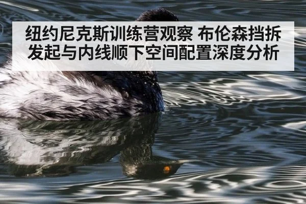 纽约尼克斯训练营观察 布伦森挡拆发起与内线顺下空间配置深度分析