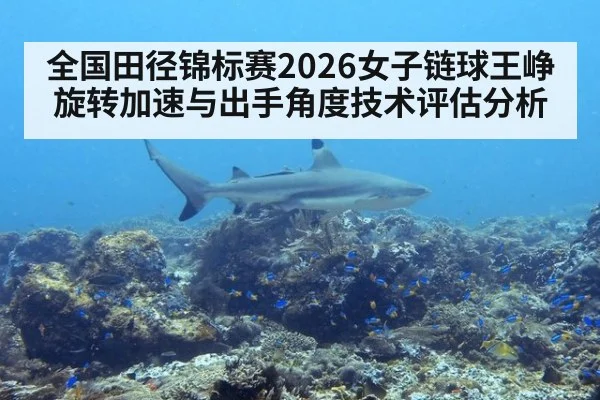 全国田径锦标赛2026女子链球王峥旋转加速与出手角度技术评估分析